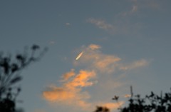 秋の3ない運動実施中・・・・(^^;;