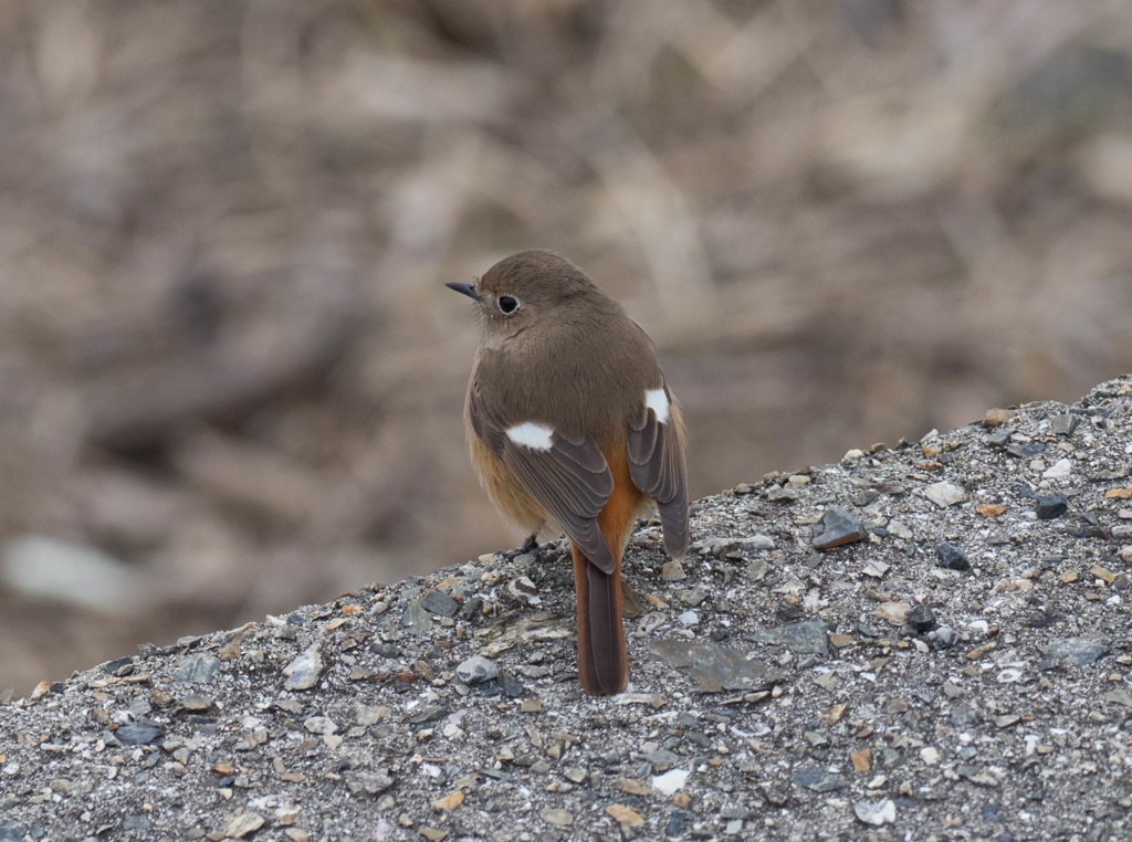 えーーーーっと、、、