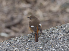 えーーーーっと、、、