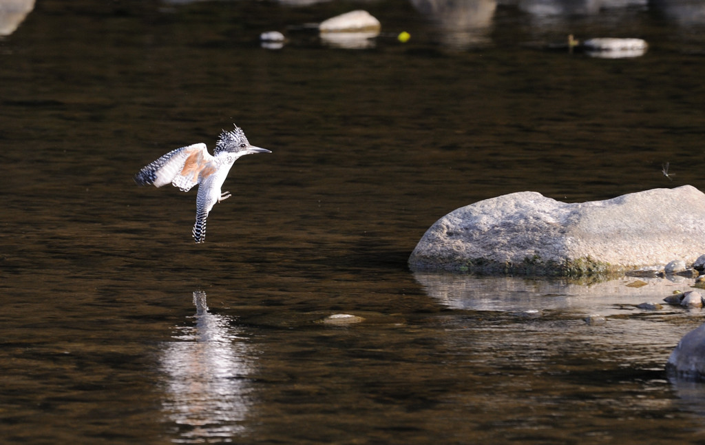 露出がむずい・・・
