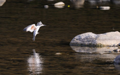 露出がむずい・・・