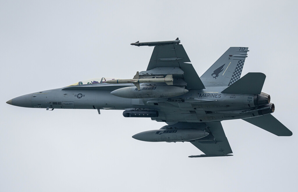 鷹さん帰ってきた、、