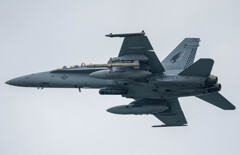 鷹さん帰ってきた、、