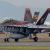 VMFA(AW)-224 WK Fighting Bengals #01