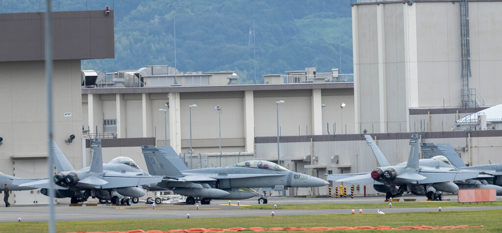 チェック＠コールサイン