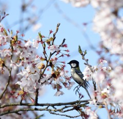 あぁぁぁ・・・・