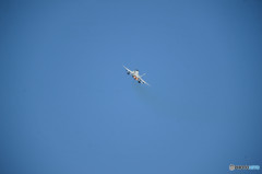 全力ダッシュ！！