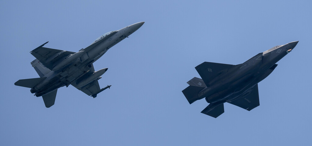 仲良し・・・？ｗ