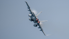 本気のＮＡＶＹ