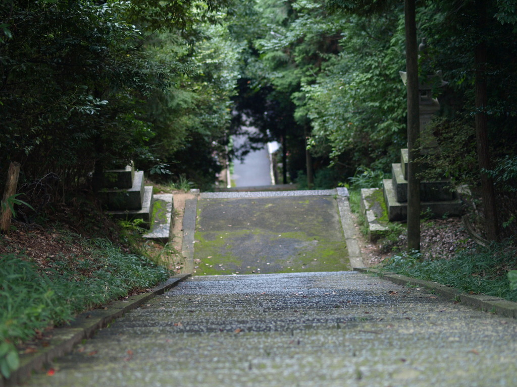お散歩