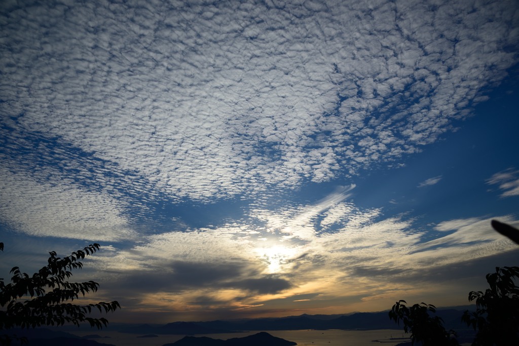 うろこ雲？？？？かな？