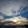うろこ雲？？？？かな？