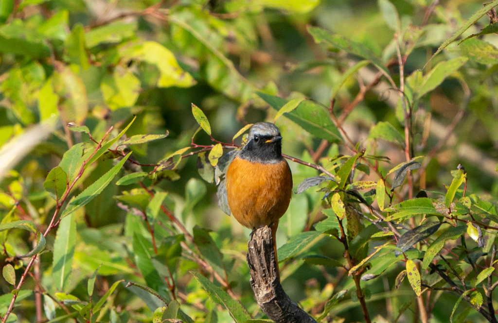 親近感・・・・