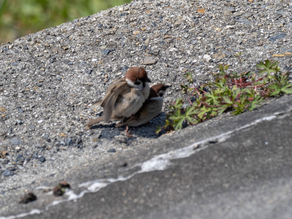 昼間っから・・・