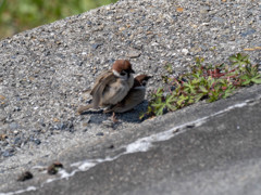 昼間っから・・・