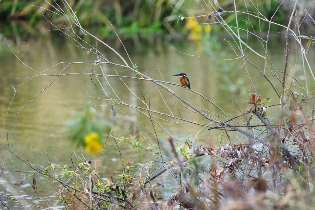 ほとんど、、風景