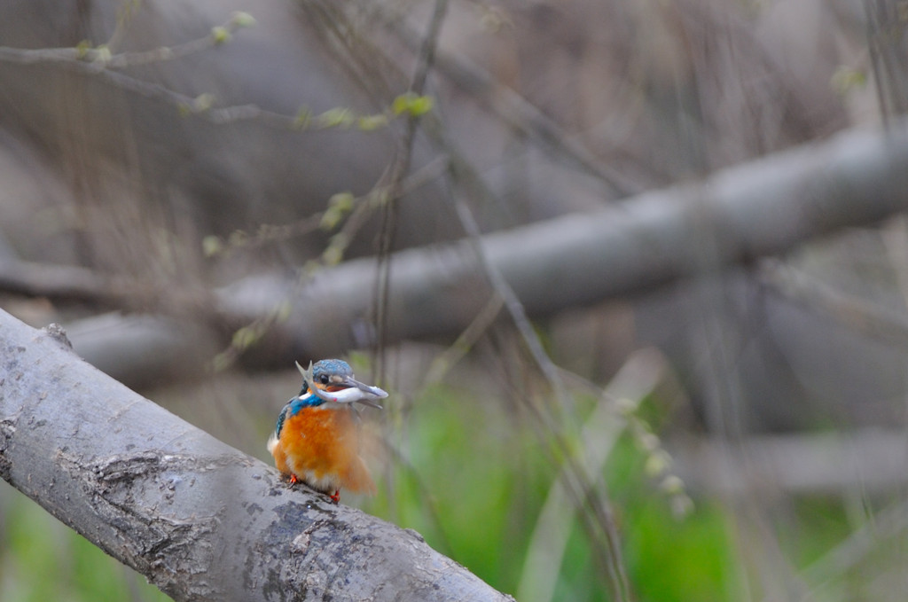 飛び物が・・・