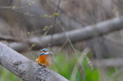 飛び物が・・・