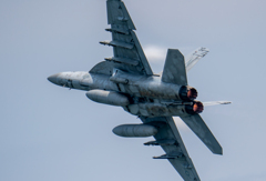 本気のＮＡＶＹ