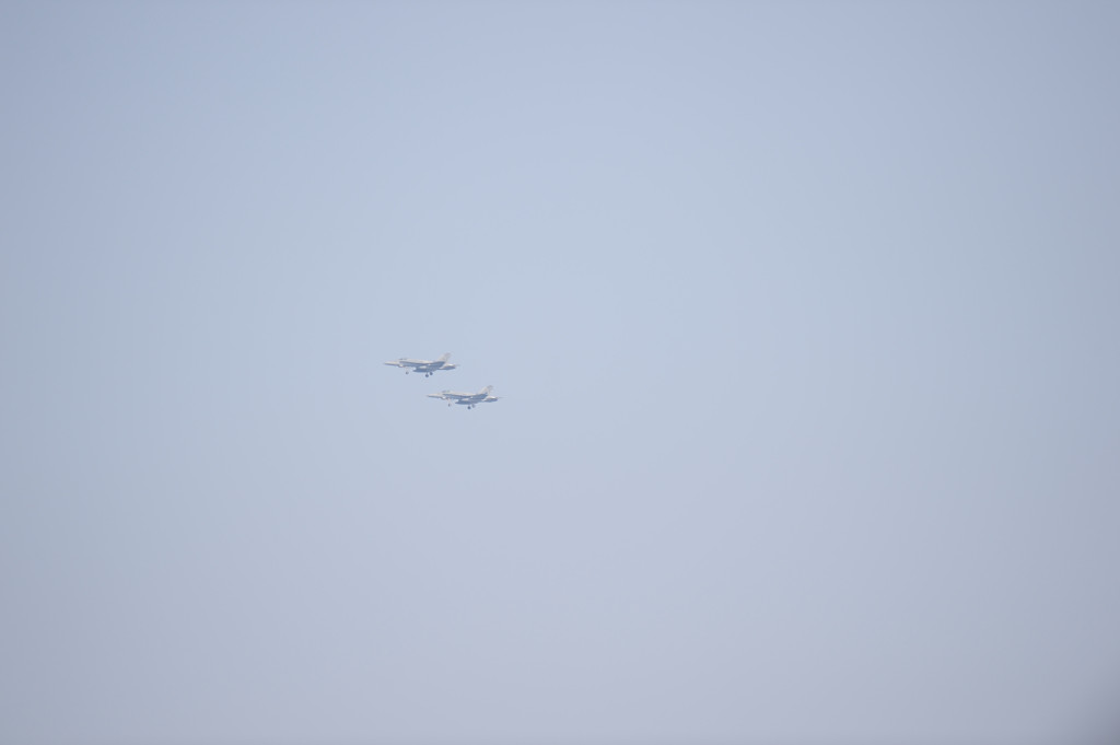 オテテつないで。。。ｗ