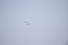 オテテつないで。。。ｗ