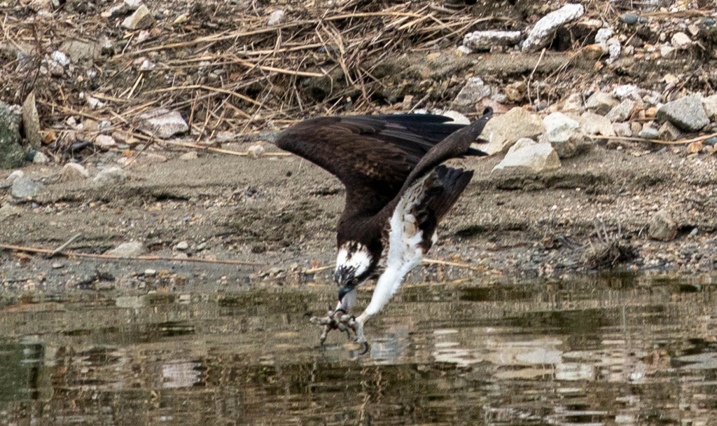 微妙なピン・・・