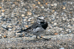 艦載機・・・・