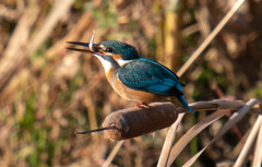 結果オーライ。。。(;^_^A