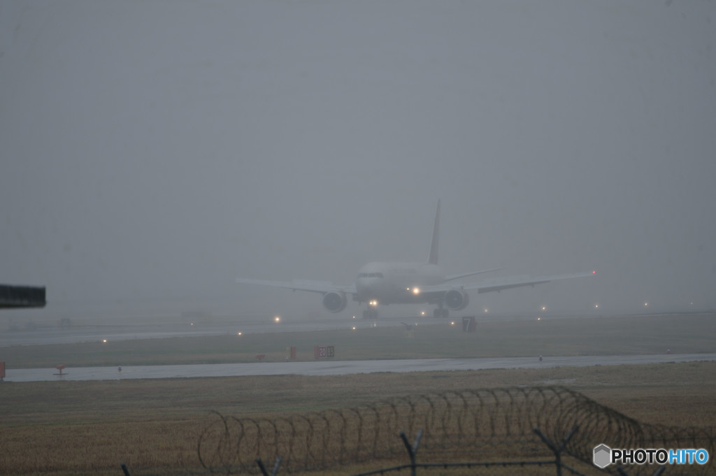 お帰りを期待して・・・