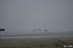 お帰りを期待して・・・