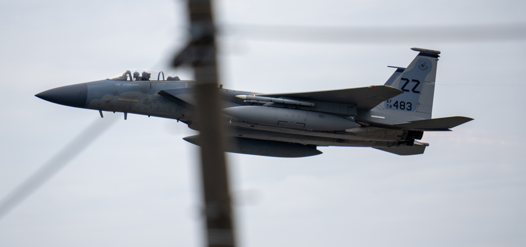 障害物もなんのその