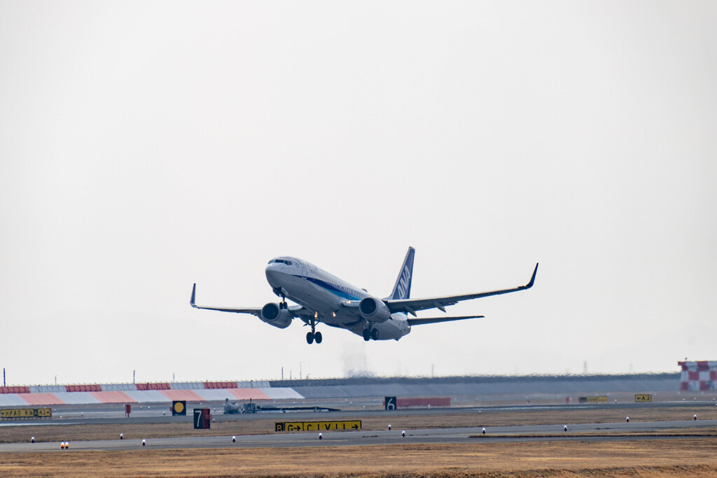 嘘つき・・・(;^_^A