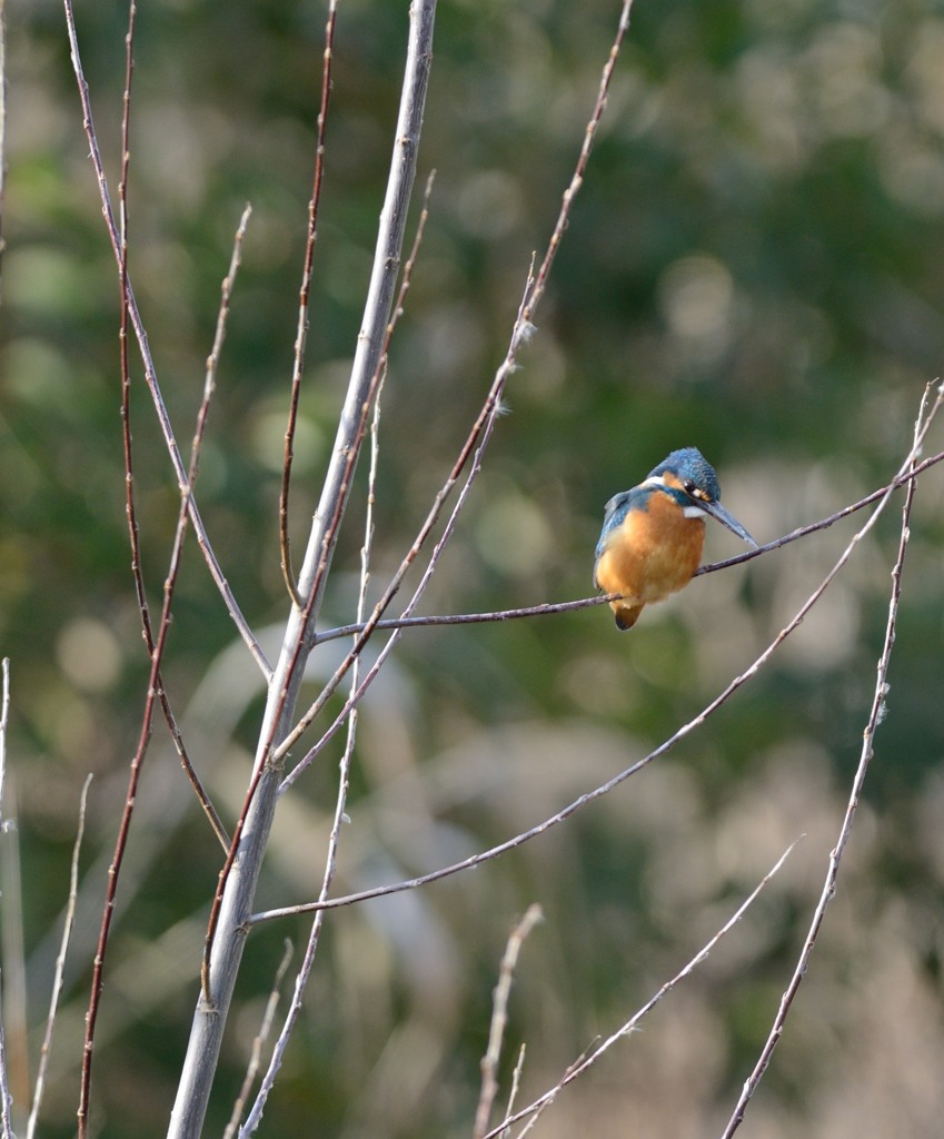 困った・・・・
