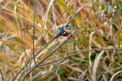 機械任せの・・・