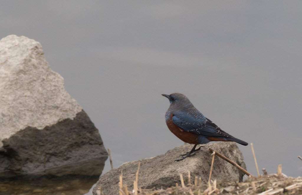お決まりですが‥‥ｗｗ