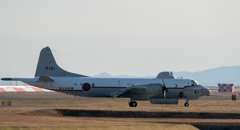 今日の主役・・・