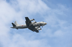 ほとんどなし・・・