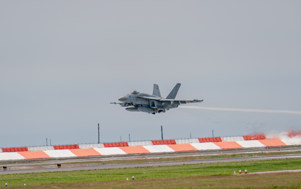 本気のＮＡＶＹ