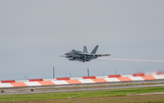 本気のＮＡＶＹ