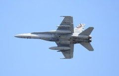 青大将捕獲・・・・・違(^^;;