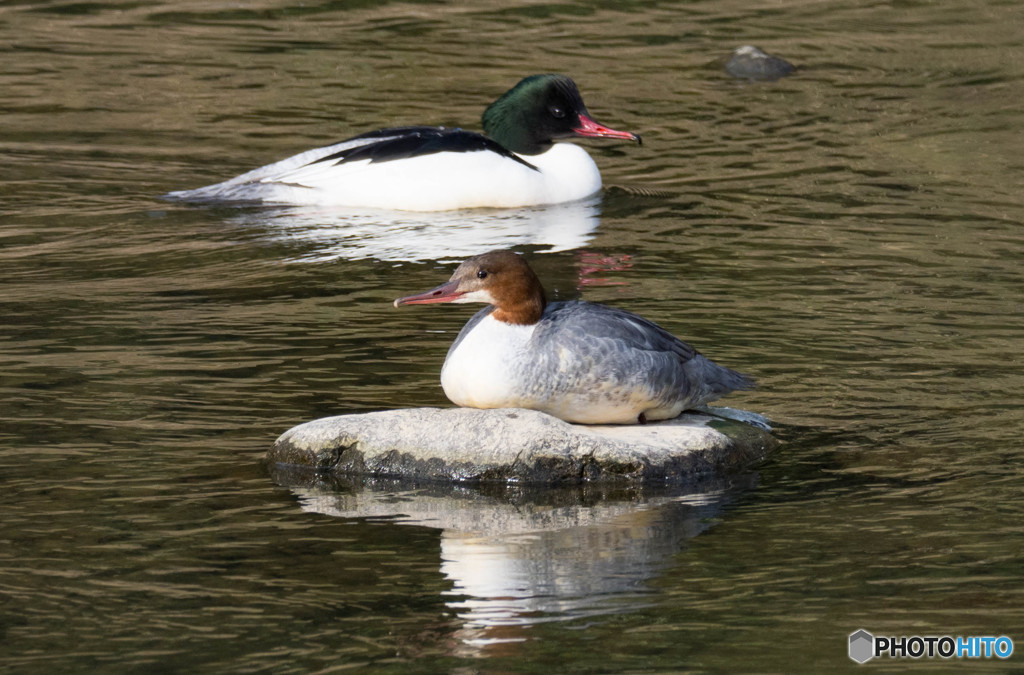 ブツブツ・・・