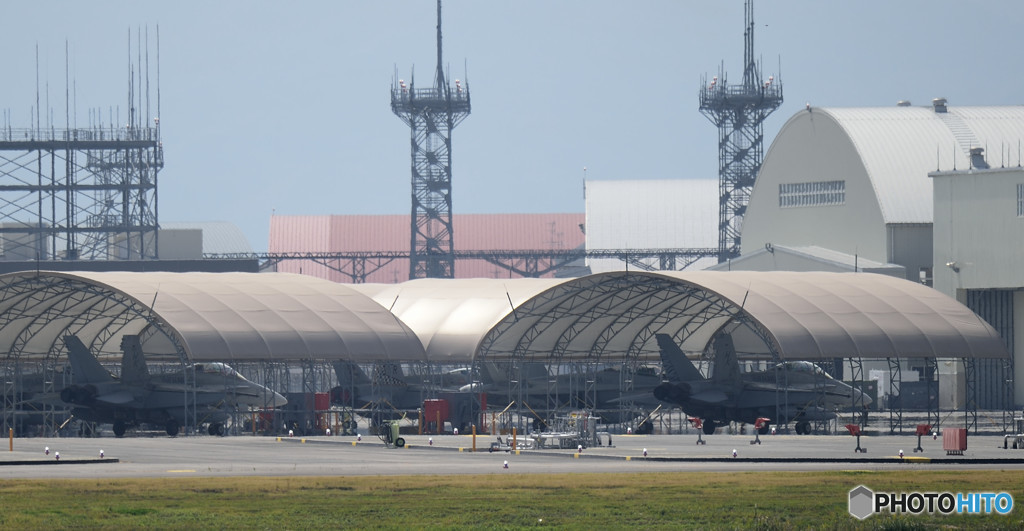 にぎやかになった！！！