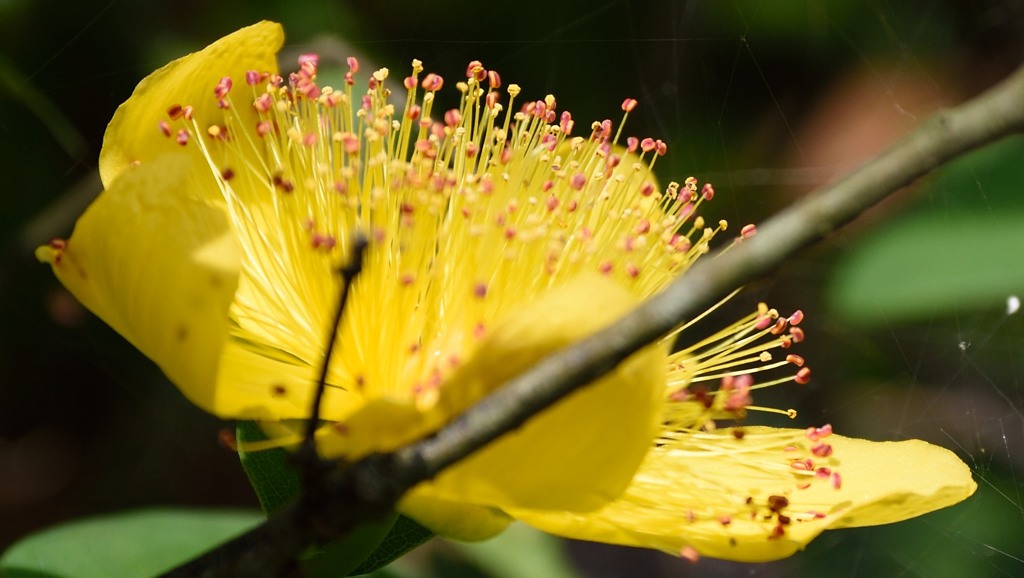 とうとう・・・