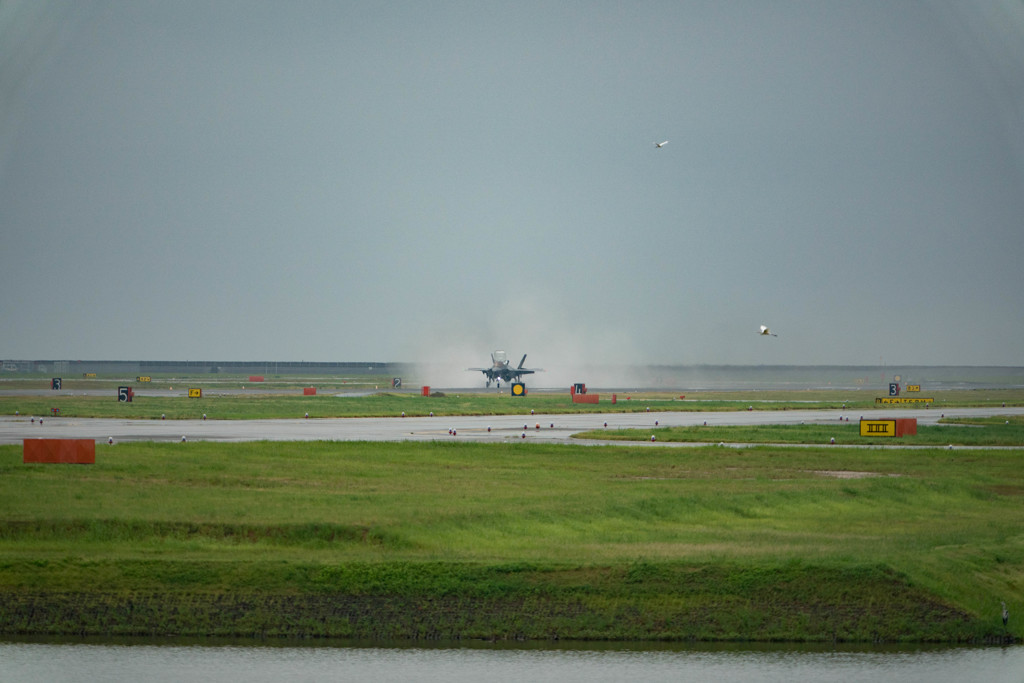 (✿✪‿✪｡)ﾉｺﾝﾁｬ♡