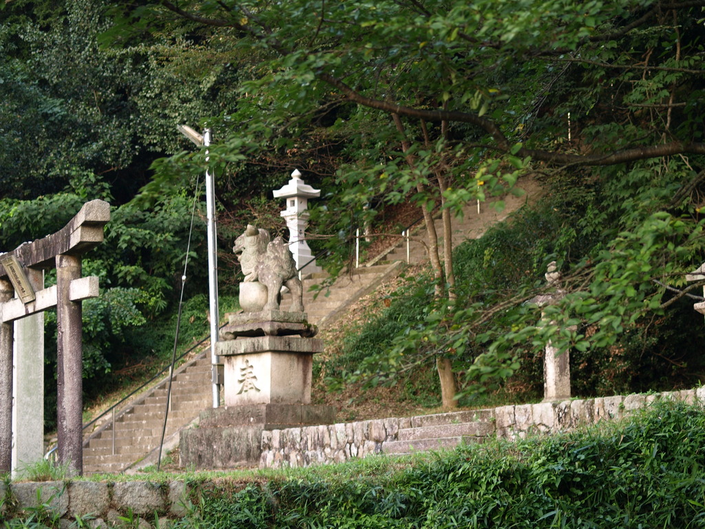P8163396