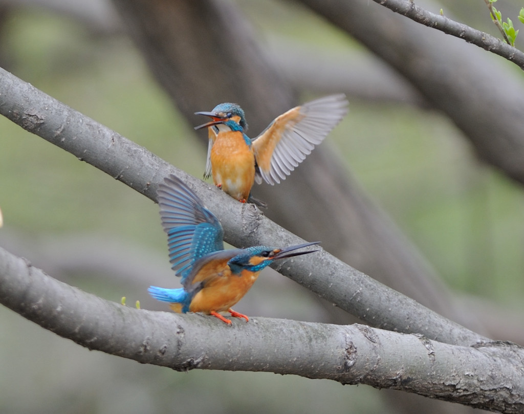 DSC_7847_1505
