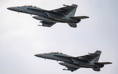 お手振り頂きました