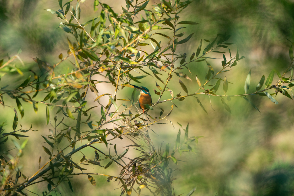 隙間から・・・