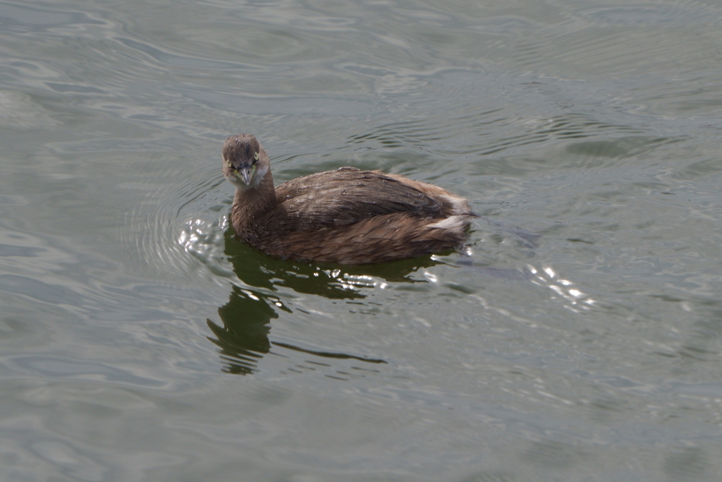 なんか文句あっか？？