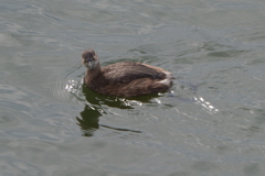 なんか文句あっか？？